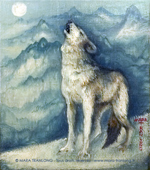 Pleine lune Pleine lune