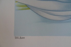 FAUSSES LITHOGRAPHIES DE MARA TRANLONG 001